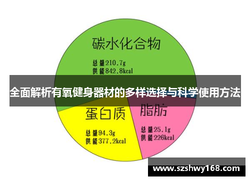 全面解析有氧健身器材的多样选择与科学使用方法